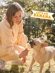     Smoofl-glace-pour-chien-banane