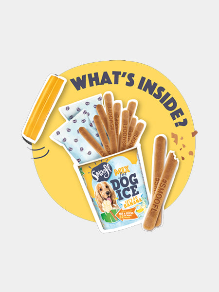     Smoofl-glace-pour-chien-banane