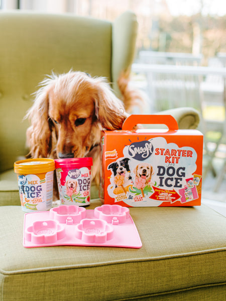 Smoofl-glace-pour-chien-starter-kit