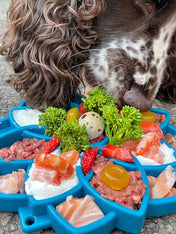    SodaPup-jouet-enrichissement-etray-pour-chien-chiot-mandala-bleu