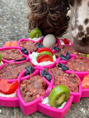       SodaPup-jouet-enrichissement-etray-pour-chien-chiot-mandala-rose