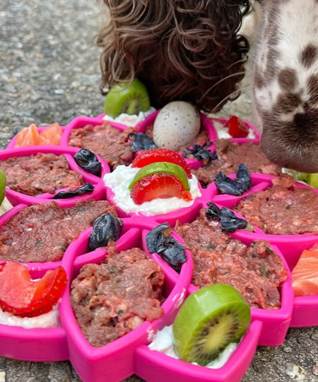       SodaPup-jouet-enrichissement-etray-pour-chien-chiot-mandala-rose