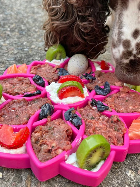       SodaPup-jouet-enrichissement-etray-pour-chien-chiot-mandala-rose