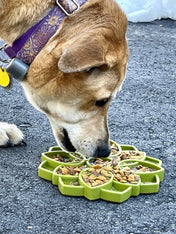       SodaPup-jouet-enrichissement-etray-pour-chien-chiot-mandala-vert