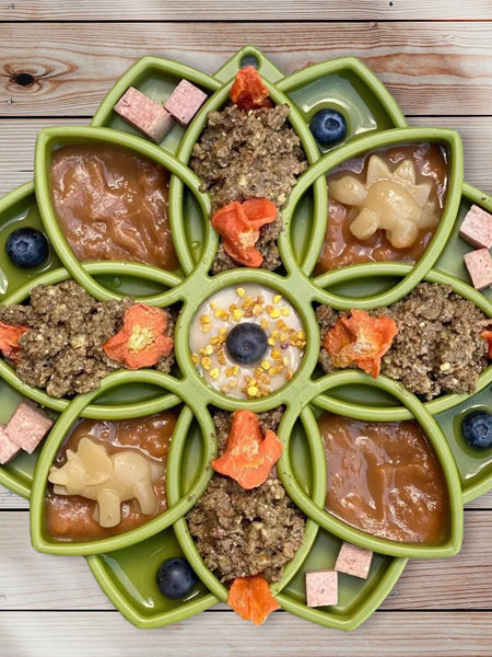     SodaPup-jouet-enrichissement-etray-pour-chien-chiot-mandala-vert