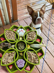     SodaPup-jouet-enrichissement-etray-pour-chien-chiot-mandala-vert