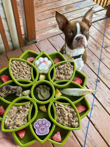     SodaPup-jouet-enrichissement-etray-pour-chien-chiot-mandala-vert