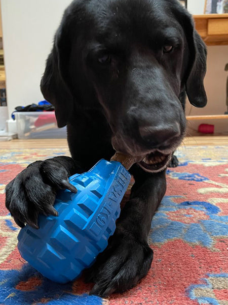     SodaPup-jouet-interactif-pour-chien-chiot-Unstoppables-Chewers