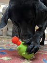     SodaPup-jouet-interactif-pour-chien-chiot-Unstoppables-Chewers