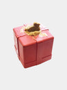 SodaPup-jouet-interactif-pour-chien-chiot-cadeau-rouge