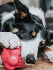 SodaPup-jouet-interactif-pour-chien-chiot-cupcake