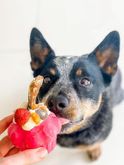 SodaPup-jouet-interactif-pour-chien-chiot-cupcake