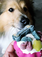 SodaPup-jouet-interactif-pour-chien-chiot-cupcake