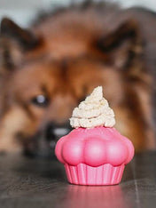SodaPup-jouet-interactif-pour-chien-chiot-cupcake