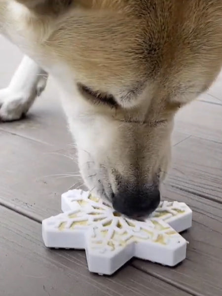 SodaPup-jouet-interactif-pour-chien-chiot-flocon-neige