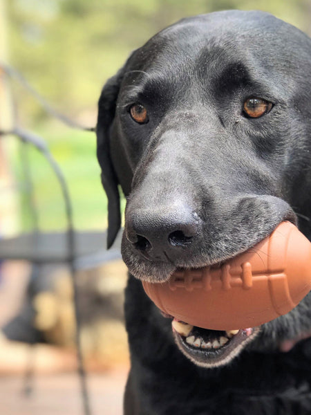 Balle de football en plein air pour chiens, jouets interactifs d