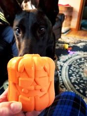 SodaPup-jouet-interactif-pour-chien-chiot-halloween-JACK-O-LANTERN