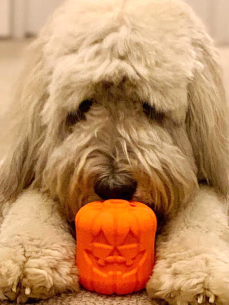 SodaPup-jouet-interactif-pour-chien-chiot-halloween-JACK-O-LANTERN