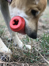 SodaPup-jouet-interactif-pour-chien-chiot-mug-rose