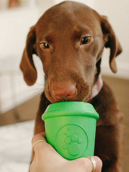SodaPup-jouet-interactif-pour-chien-chiot-mug-vert
