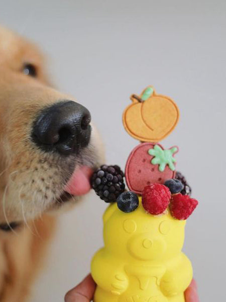     SodaPup-jouet-interactif-pour-chien-chiot-ourson-miel