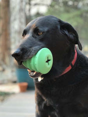     SodaPup-jouet-interactif-pour-chien-chiot-sapin-noel