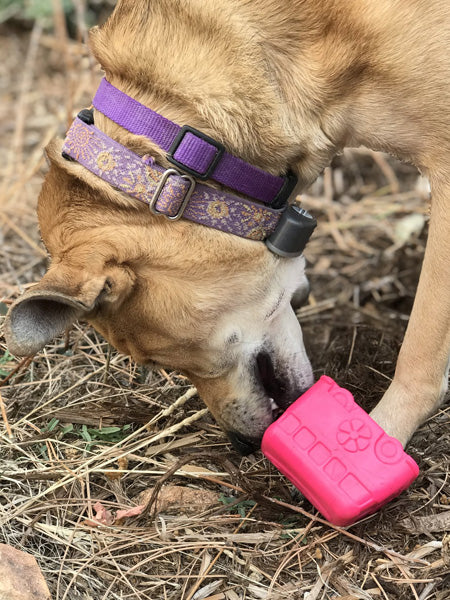 SodaPup-jouet-interactif-pour-chien-chiot-van-rose