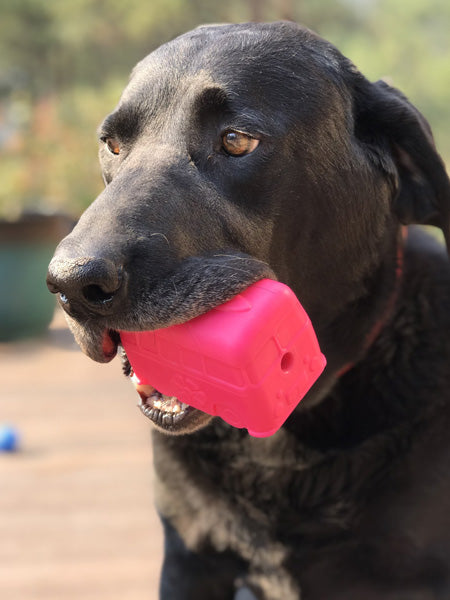 SodaPup-jouet-interactif-pour-chien-chiot-van-rose