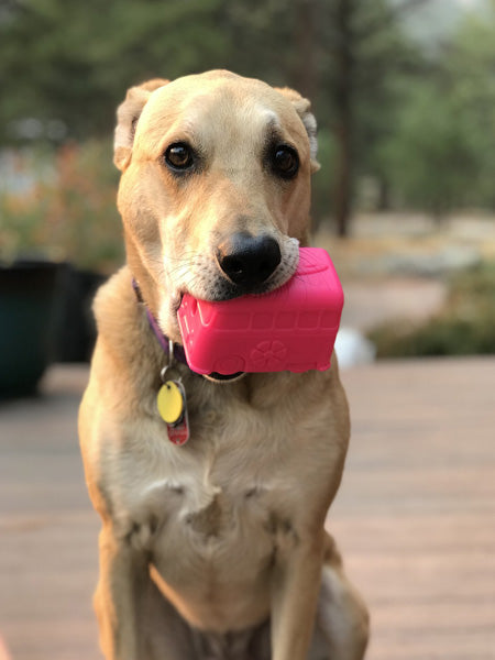 SodaPup-jouet-interactif-pour-chien-chiot-van-rose