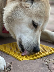 SodaPup-tapis-lechage-emat-pour-chien-chiot-jaune