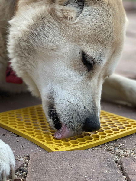 SodaPup-tapis-lechage-emat-pour-chien-chiot-jaune