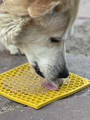 SodaPup-tapis-lechage-emat-pour-chien-chiot-jaune