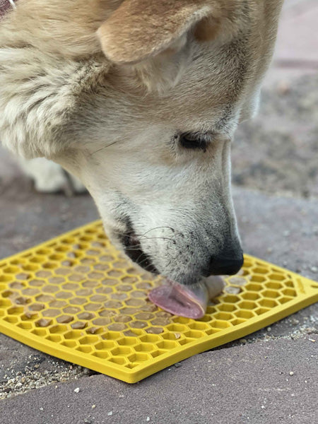 SodaPup-tapis-lechage-emat-pour-chien-chiot-jaune