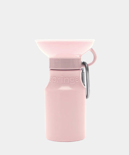       Springer-bouteille-portable-voyage-chien-rose-bonbon