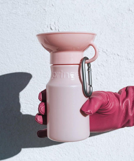       Springer-bouteille-portable-voyage-chien-rose-bonbon