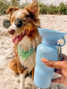     Springer-gourde-distributeur-eau-voyage-chien-bleu