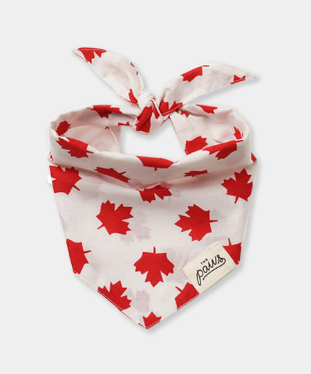    The-Paws-bandana-pour-chien-Banff