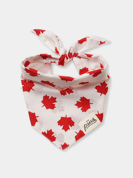    The-Paws-bandana-pour-chien-Banff