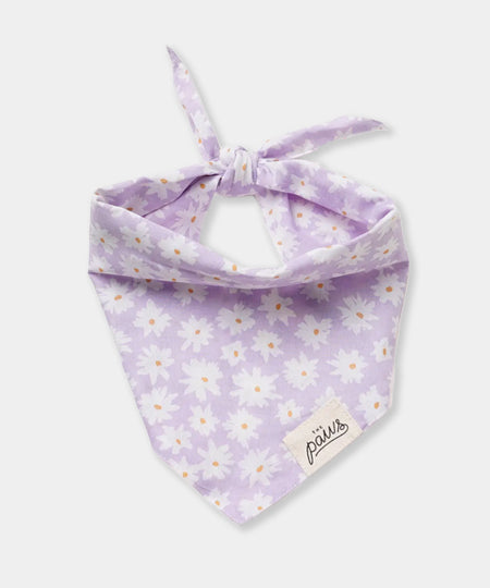    The-Paws-bandana-pour-chien-Belle