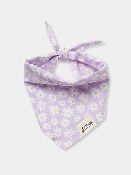    The-Paws-bandana-pour-chien-Belle