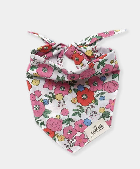       The-Paws-bandana-pour-chien-Blossom
