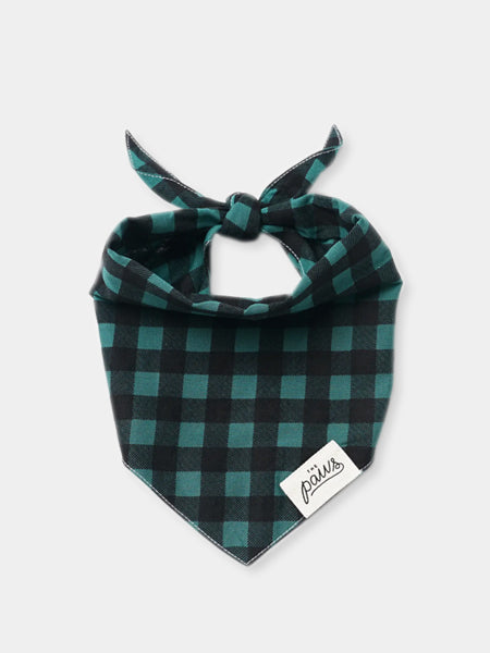 The-Paws-bandana-pour-chien-Bourbon