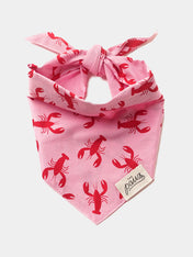     The-Paws-bandana-pour-chien-Frye-Island