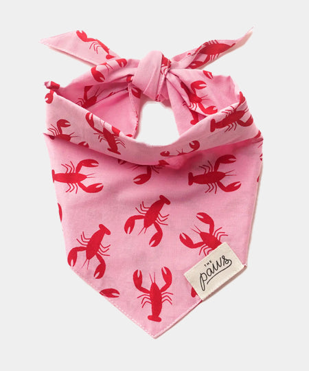     The-Paws-bandana-pour-chien-Frye-Island