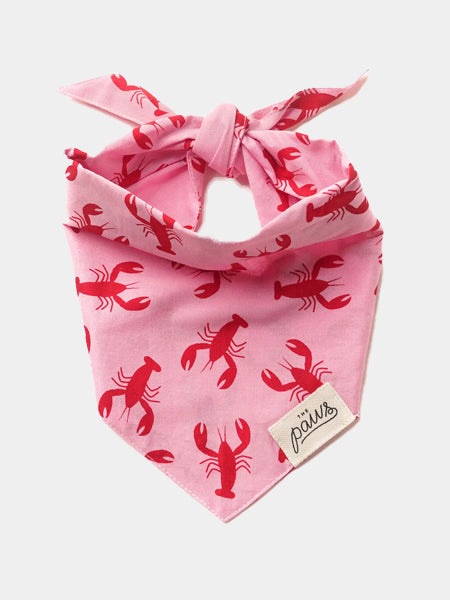     The-Paws-bandana-pour-chien-Frye-Island