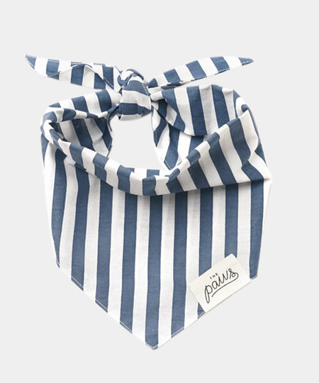       The-Paws-bandana-pour-chien-Harbour