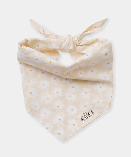    The-Paws-bandana-pour-chien-Honey