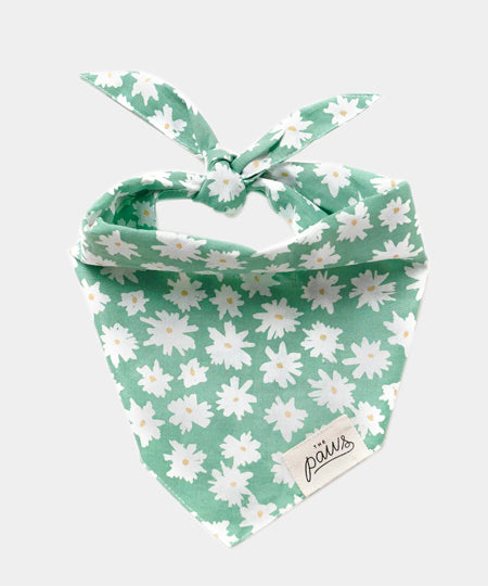    The-Paws-bandana-pour-chien-Meadow