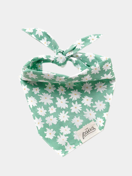    The-Paws-bandana-pour-chien-Meadow