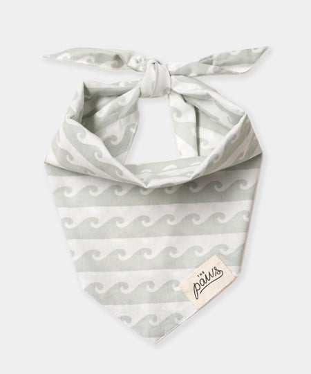     The-Paws-bandana-pour-chien-Surf